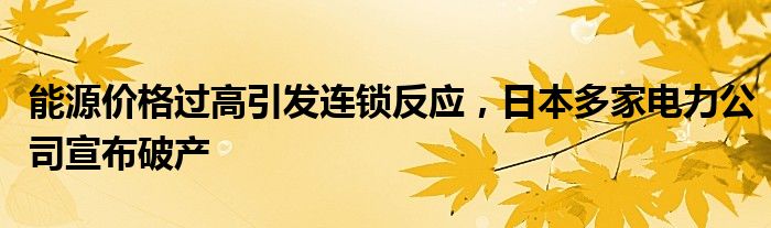 能源价格过高引发连锁反应,日本多家电力公司宣布破产