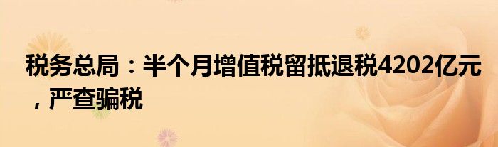 税务总局:半个月增值税留抵退税4202亿元,严查骗税
