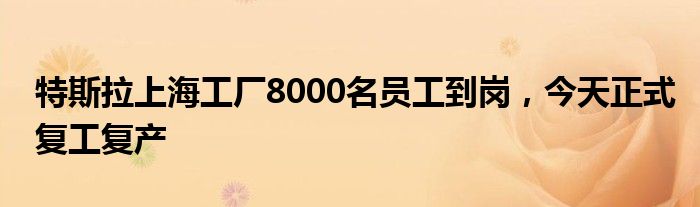 特斯拉上海工厂8000名员工到岗,今天正式复工复产