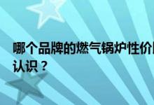 哪个品牌的燃气锅炉性价比高？哪个品牌的工业燃气锅炉好认识？