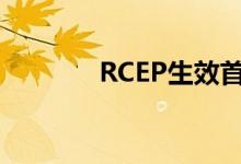 RCEP生效首季持续释放红利