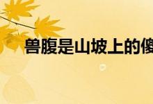 兽腹是山坡上的傻子 皮毛是旧轮胎做的