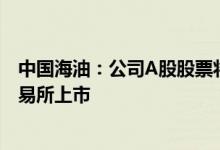 中国海油：公司A股股票将于2022年4月21日在上海证券交易所上市