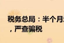 税务总局：半个月增值税留抵退税4202亿元，严查骗税