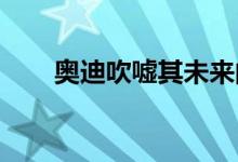 奥迪吹嘘其未来的汽车动力学计算机