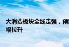 大消费板块全线走强，预制菜、食品饮料、酿酒等板块均大幅拉升