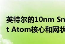 英特尔的10nm Snow Ridge可用于Tremont Atom核心和网状架构