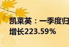 凯莱英：一季度归母净利润4.99亿元，同比增长223.59%