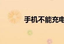 手机不能充电 但显示充电原因