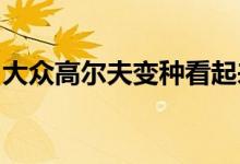 大众高尔夫变种看起来完全符合预期的新谍照