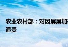农业农村部：对因层层加码造成春耕生产严重受阻的要严肃追责