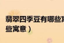 翡翠四季豆有哪些寓意（翡翠四季豆挂件有哪些寓意）