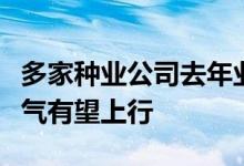 多家种业公司去年业绩亮眼，高粮价刺激下景气有望上行