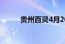 贵州百灵4月20日现2笔大宗交易