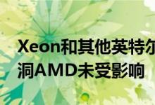 Xeon和其他英特尔CPU遭受NetCAT安全漏洞AMD未受影响