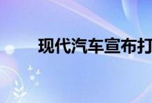 现代汽车宣布打造纯电动Ioniq家族
