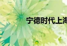 宁德时代上海工厂已恢复生产