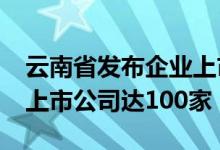 云南省发布企业上市倍增计划，力争2025年上市公司达100家