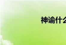 神谕什么职业厉害？