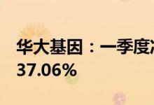 华大基因：一季度净利润3.3亿元，同比下降37.06%