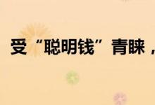 受“聪明钱”青睐，上市险企估值修复可期
