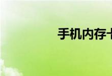 手机内存卡什么牌子好？