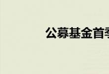 公募基金首季亏损1.3万亿元
