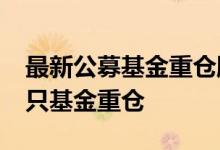 最新公募基金重仓股曝光，“宁王”获1914只基金重仓
