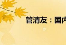 管清友：国内三大灰犀牛并行