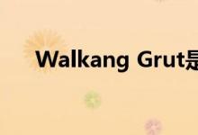 Walkang Grut是一款小型电动摩托车