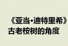 《亚当·迪特里希》中纳拉本达豪斯朝向一棵古老桉树的角度