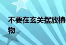 不要在玄关摆放植物 不要在门廊里放任何植物