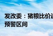 发改委：猪粮比价连续九周进入过度下跌一级预警区间