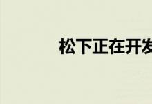松下正在开发特斯拉的新电池