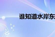 谁知道水岸东方二期最新房价？