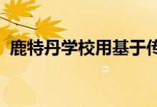 鹿特丹学校用基于传统荷兰图案的瓷砖装饰