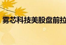 雾芯科技美股盘前拉升，现跌幅收窄至约3%