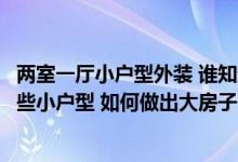两室一厅小户型外装 谁知道两居室小户型的装修技巧？有哪些小户型 如何做出大房子的效果？