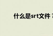 什么是srt文件？如何打开srt文件？