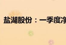 盐湖股份：一季度净利润同比增长340.91%