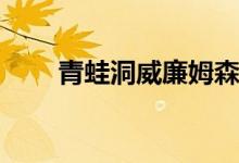 青蛙洞威廉姆森住宅深入安大略景�