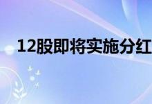 12股即将实施分红，东岳硅材派现最大方