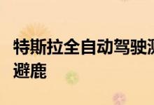 特斯拉全自动驾驶测试版可在天黑后探测并躲避鹿