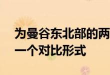 为曼谷东北部的两层KhaoYaiHouse设计了一个对比形式
