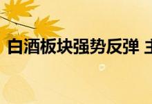 白酒板块强势反弹 主力资金尾盘大手笔加仓
