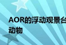 AOR的浮动观景台展示伦敦运河沿岸的野生动物