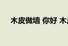 木皮做墙 你好 木皮做墙面有什么效果？