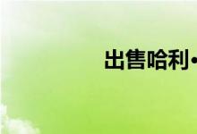 出售哈利·波特的魔法屋