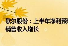 歌尔股份：上半年净利预增20%-40%，VR虚拟现实等产品销售收入增长