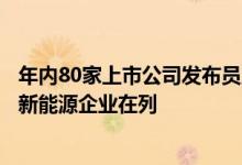 年内80家上市公司发布员工持股计划，比亚迪、亿纬锂能等新能源企业在列